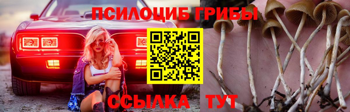 Галлюциногенные грибы Cubensis Тара
